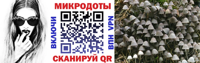 Псилоцибиновые грибы мицелий  гидра как войти  Советск 