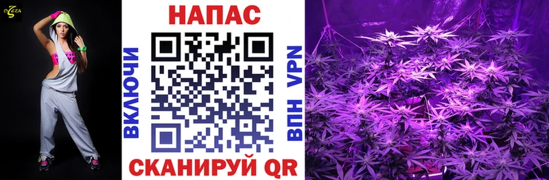 дарнет шоп  mega ONION  МАРИХУАНА OG Kush  Советск 
